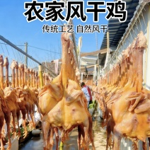 农家风干鸡咸鸡腊味腊鸡1.8斤左右批发代发