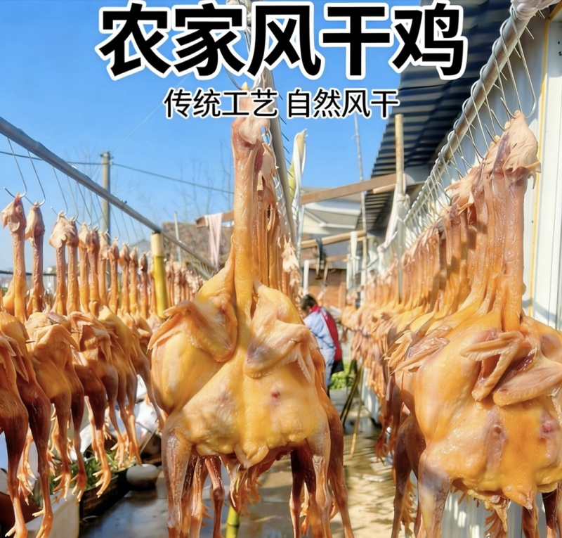 农家风干鸡咸鸡腊味腊鸡1.8斤左右批发代发