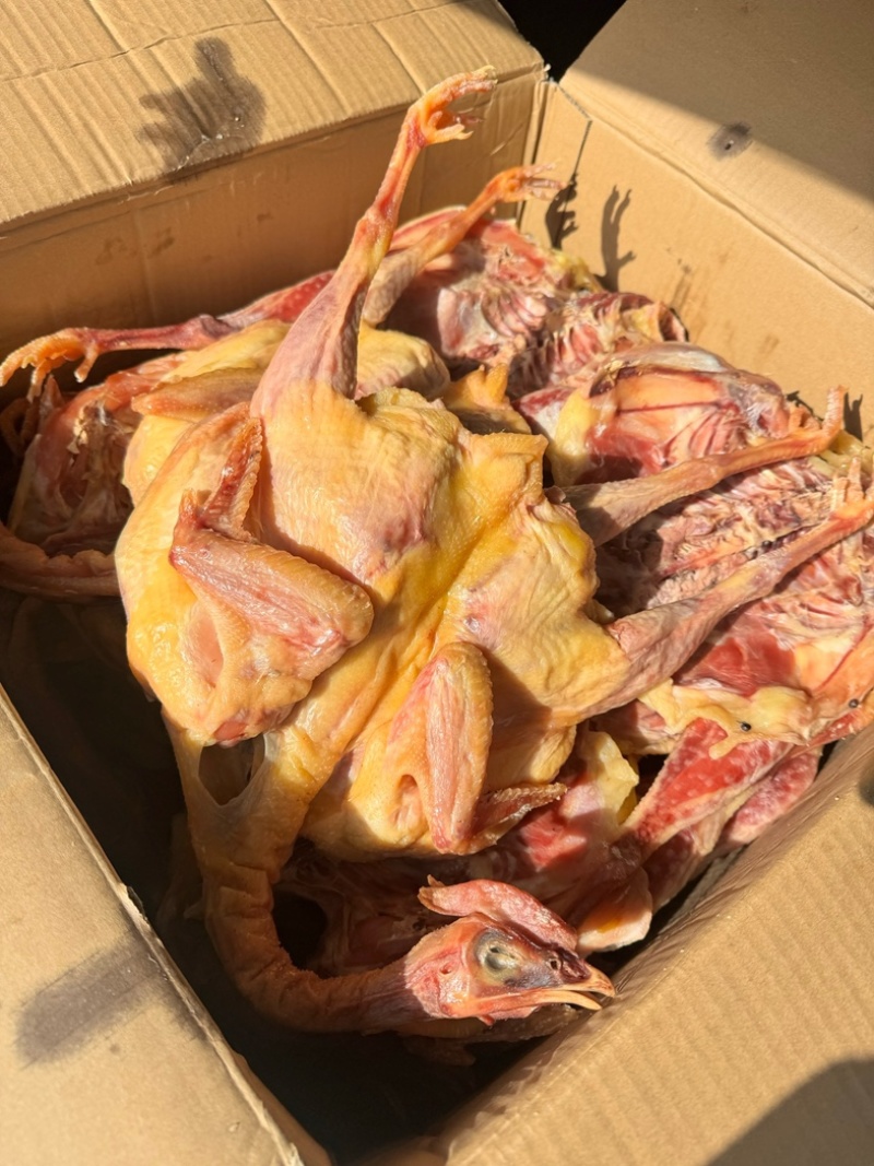 农家风干鸡咸鸡腊味腊鸡1.8斤左右批发代发