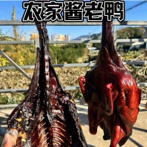 农家酱老鸭腊味酱鸭3斤以上批发代发