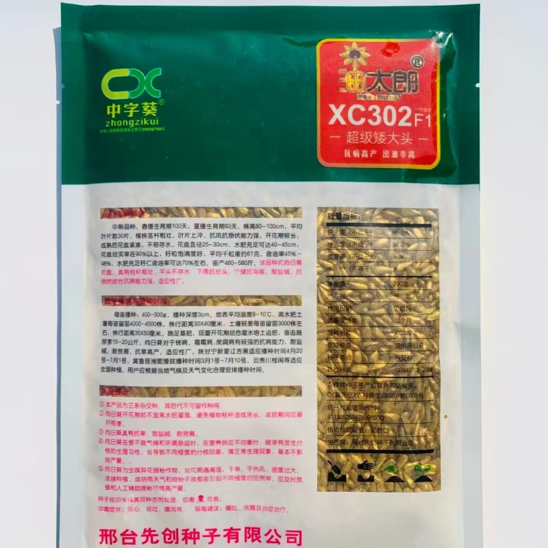 **矮大头油葵种子油太郎XC302榨油葵花籽高产高油观赏