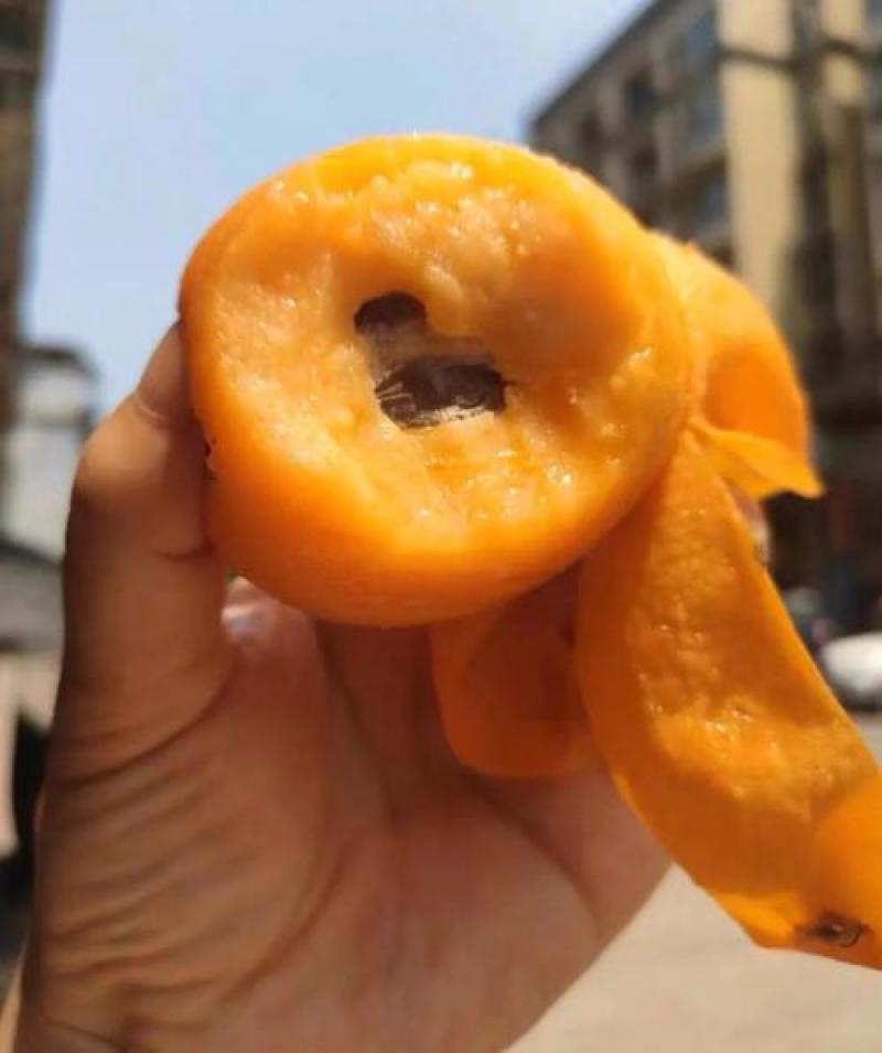 枇杷苗