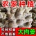 广西大肉姜新鲜姜