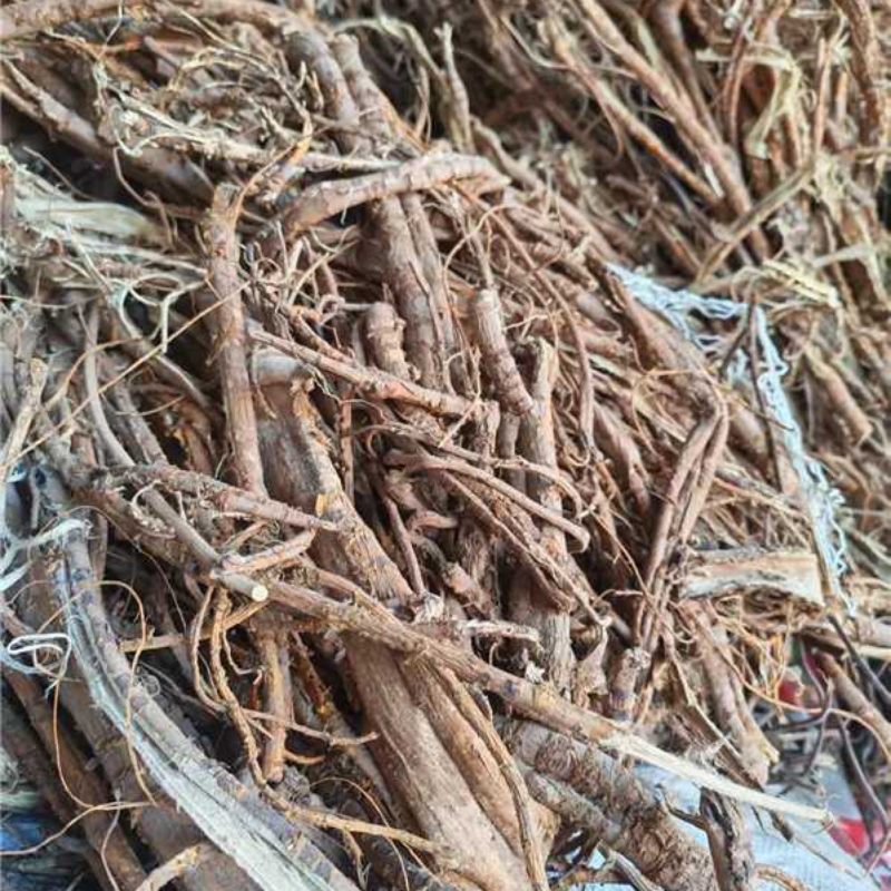 桑白皮/大量有货/量大从优/保质保量/欢迎采购