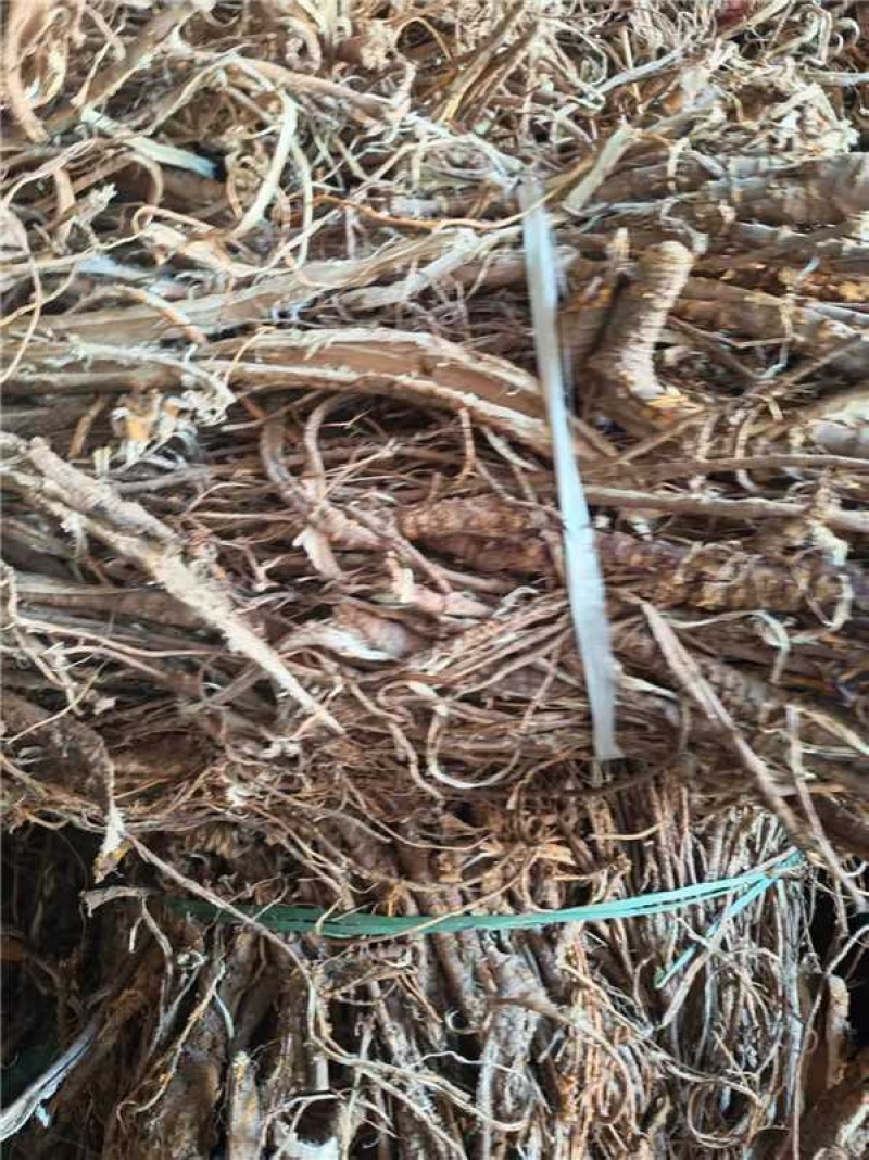 桑白皮/大量有货/量大从优/保质保量/欢迎采购
