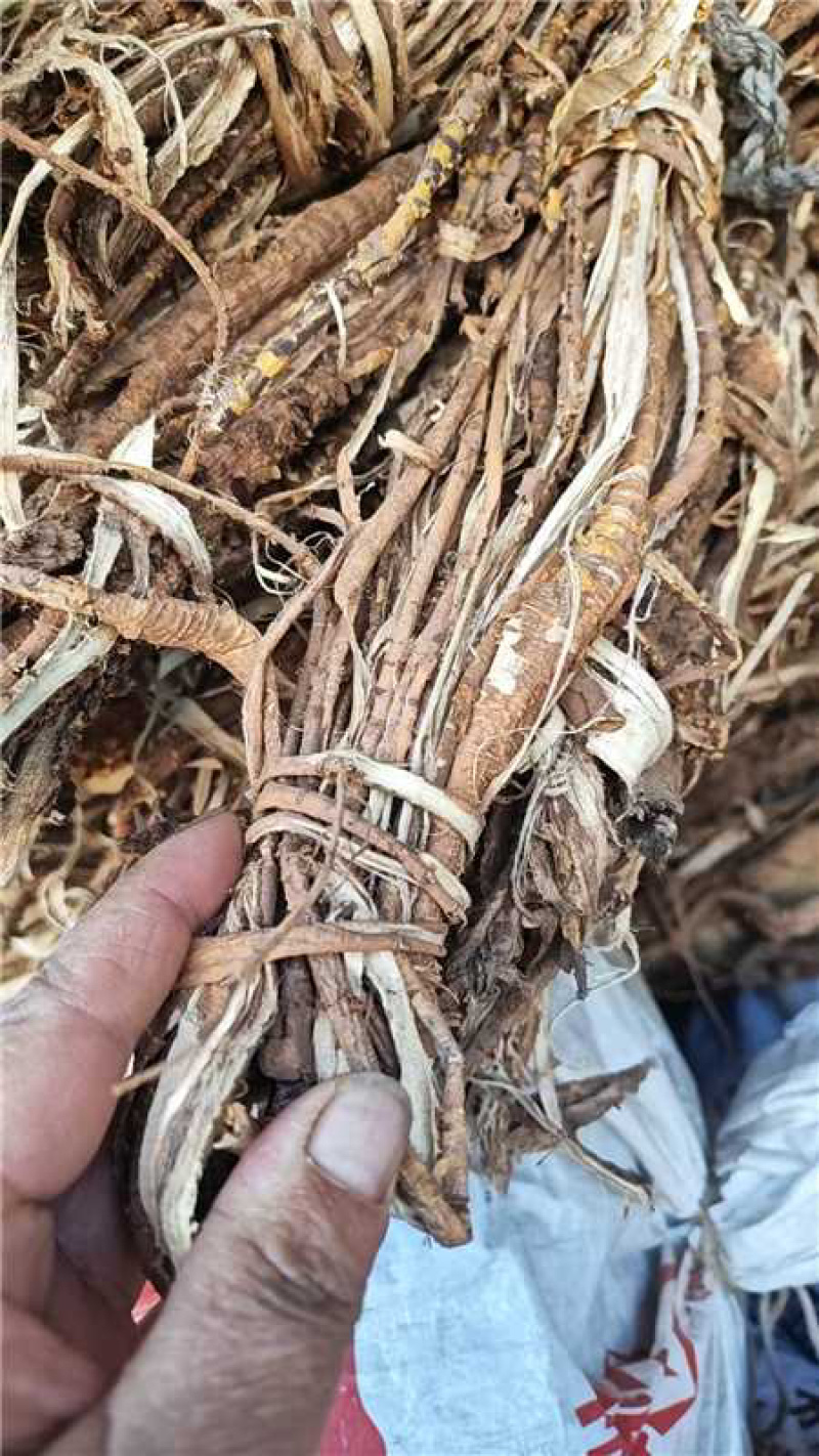 桑白皮/大量有货/量大从优/保质保量/欢迎采购