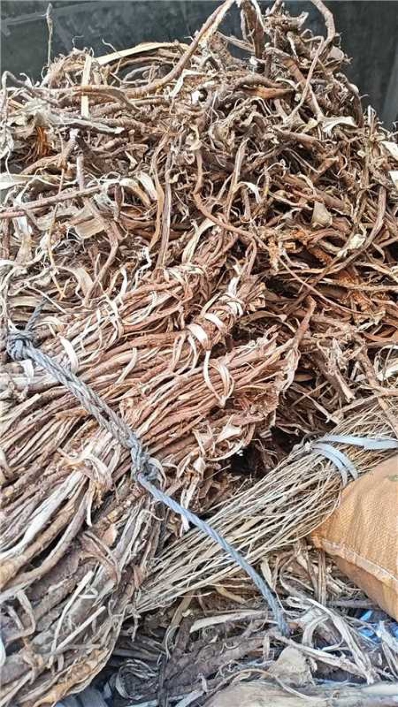 桑白皮/大量有货/量大从优/保质保量/欢迎采购