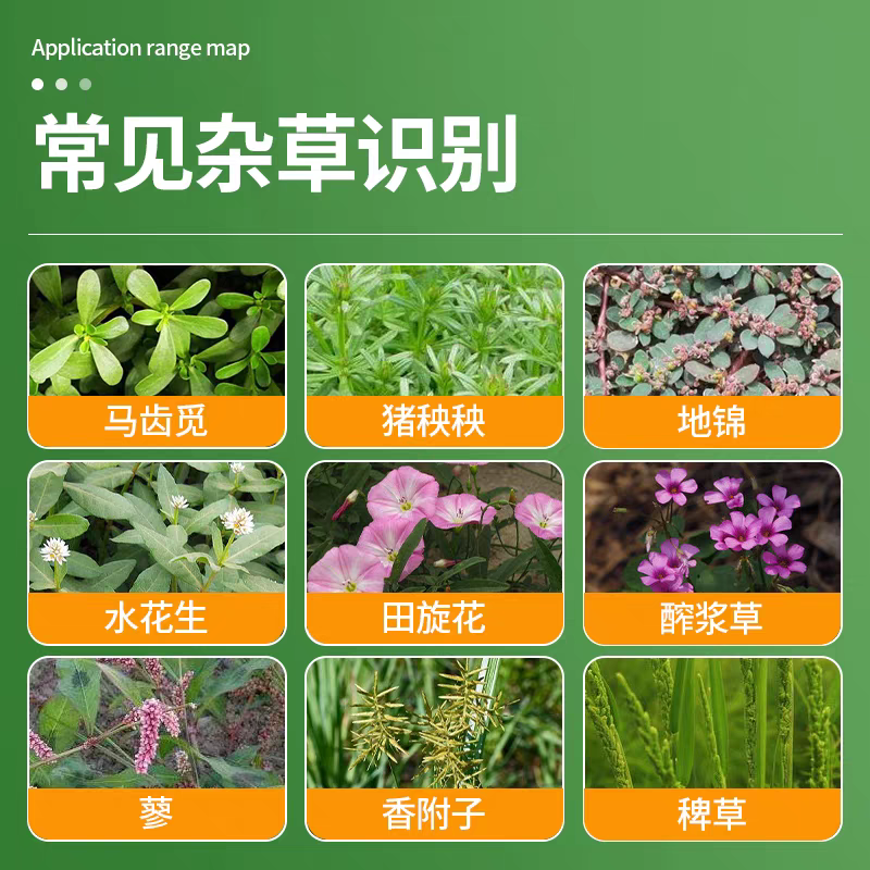 火雷攻21%精草铵膦草铵磷除草剂柑橘果园杂草除草剂牛筋草