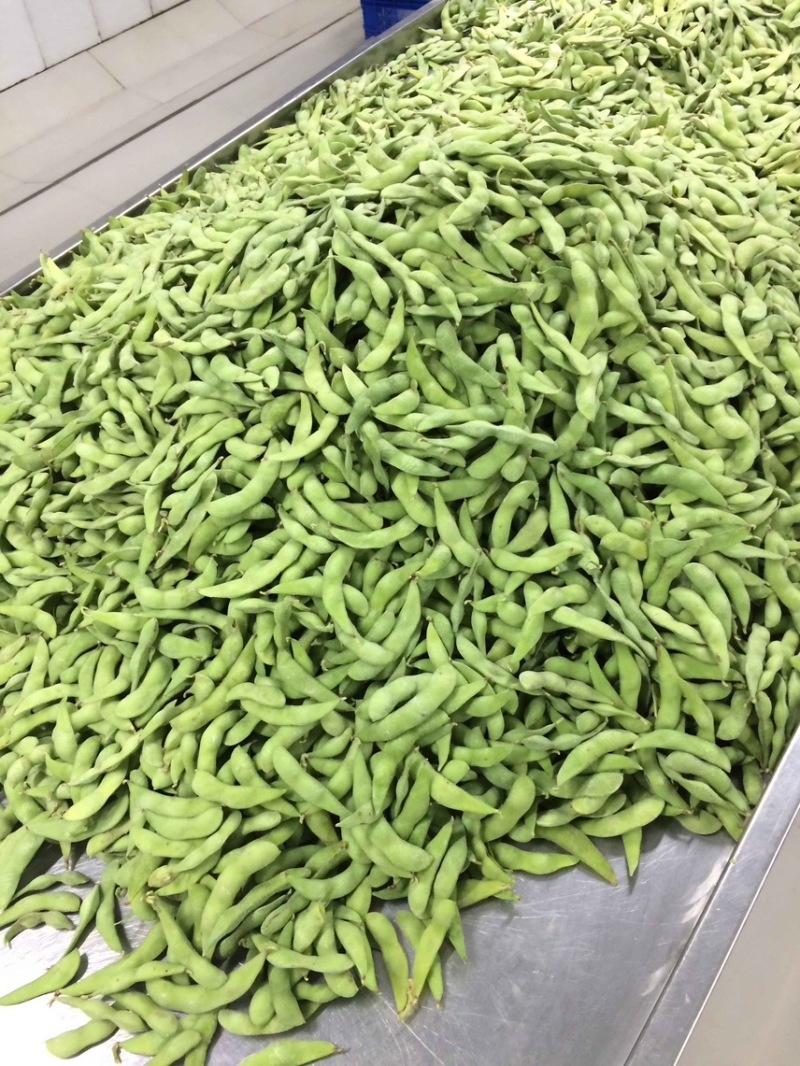 优质速冻75-3毛豆荚，75毛豆