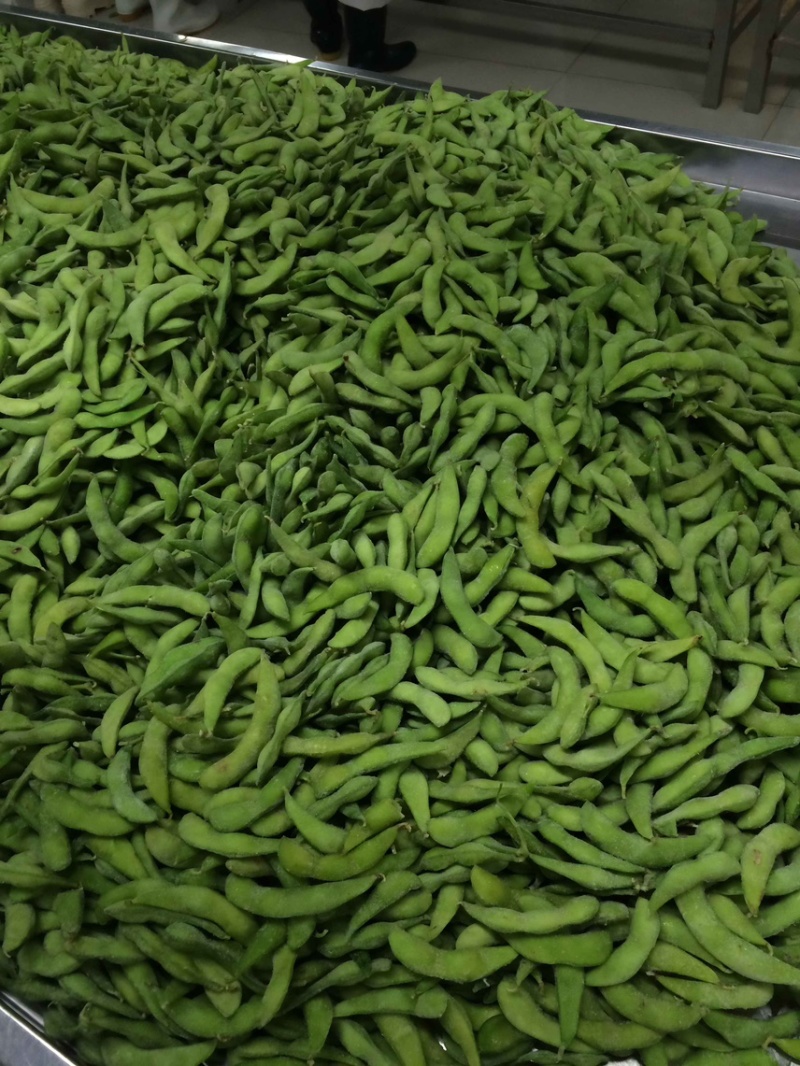 优质速冻75-3毛豆荚，75毛豆