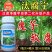 汰腐净汰腐宁魔芋专用叶面肥杀菌剂软腐根腐病魔芋专用农药