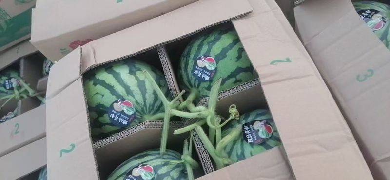 （热卖）云南麒麟西瓜价格优惠质量好清甜可口量大从优