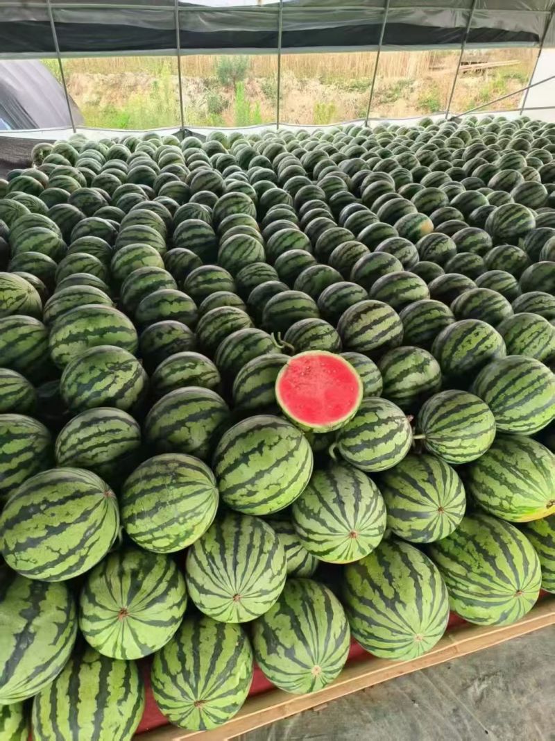 （热卖）云南麒麟西瓜价格优惠质量好清甜可口量大从优