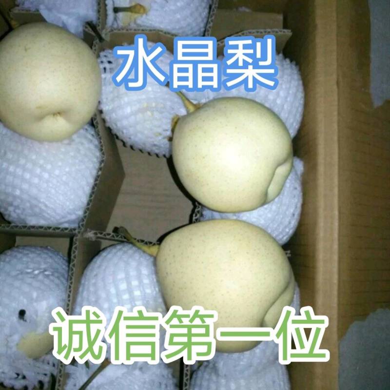 水晶梨，鸭梨，产地常年供应，规格齐全，量大从优，质量保证