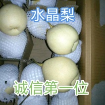 水晶梨，产地直供，质量保证，量大从优，高中低档，诚信第一