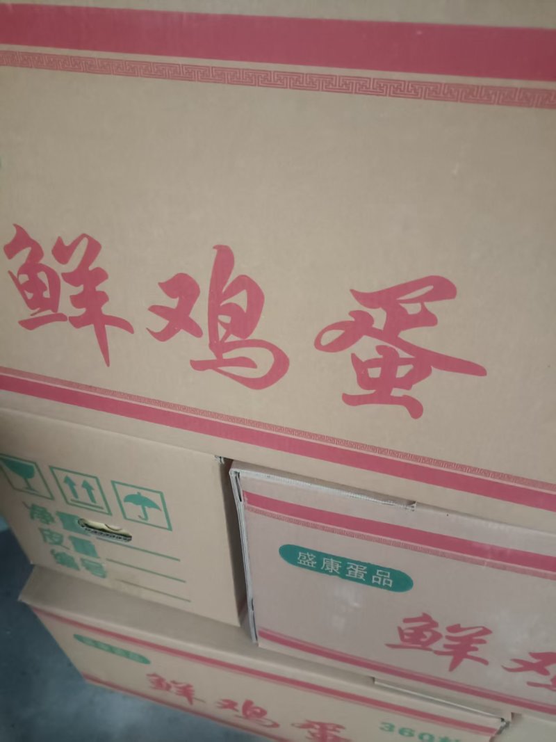 鸡蛋