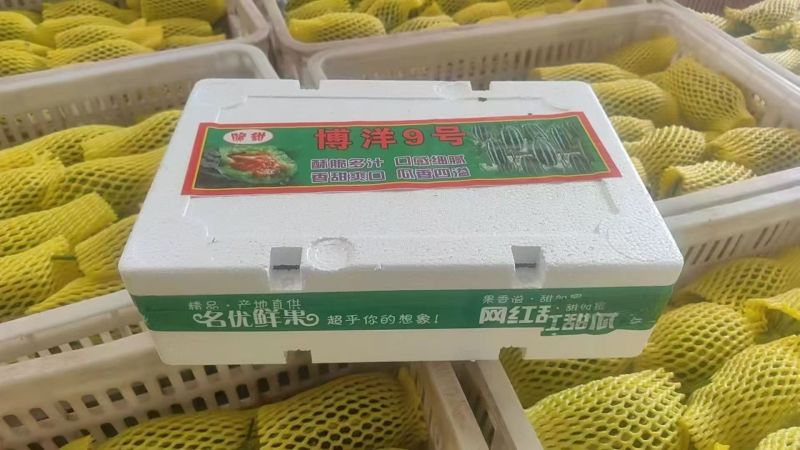 羊角蜜博洋61博洋72博洋9号蜜园十八团购**代收代发