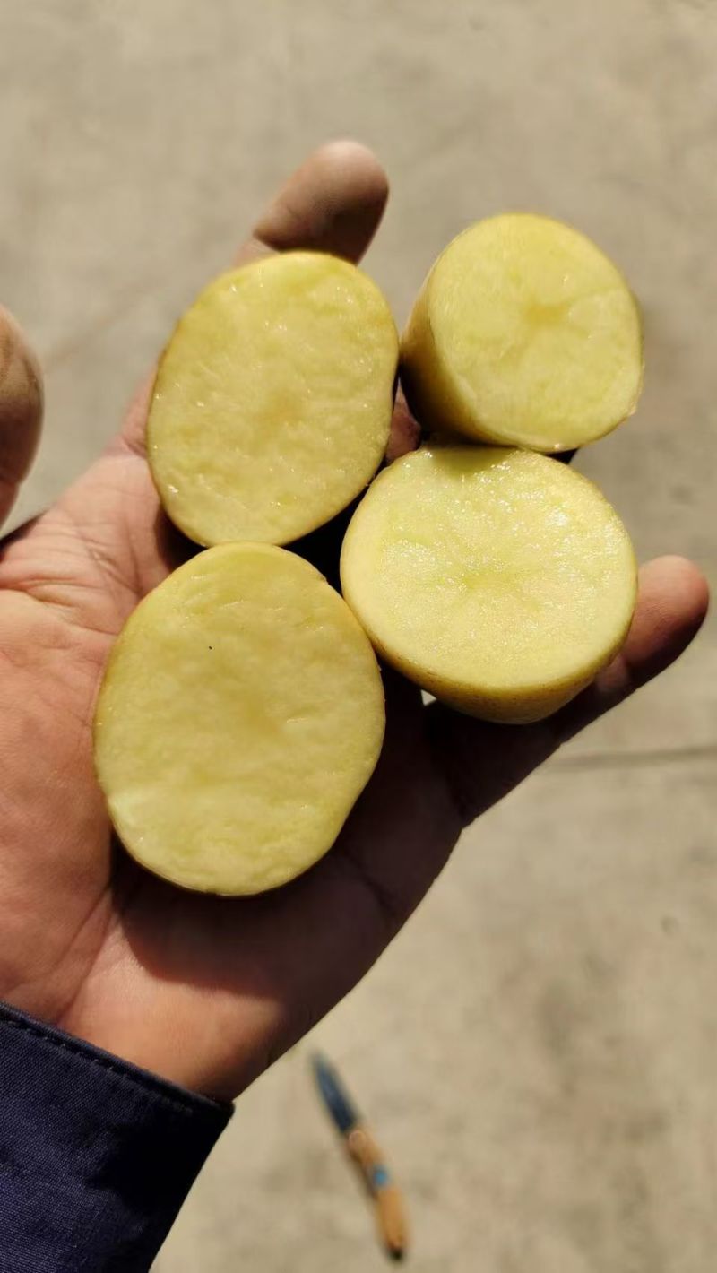 云南黄皮黄心迷你小土豆产地直发量大从优全国发货