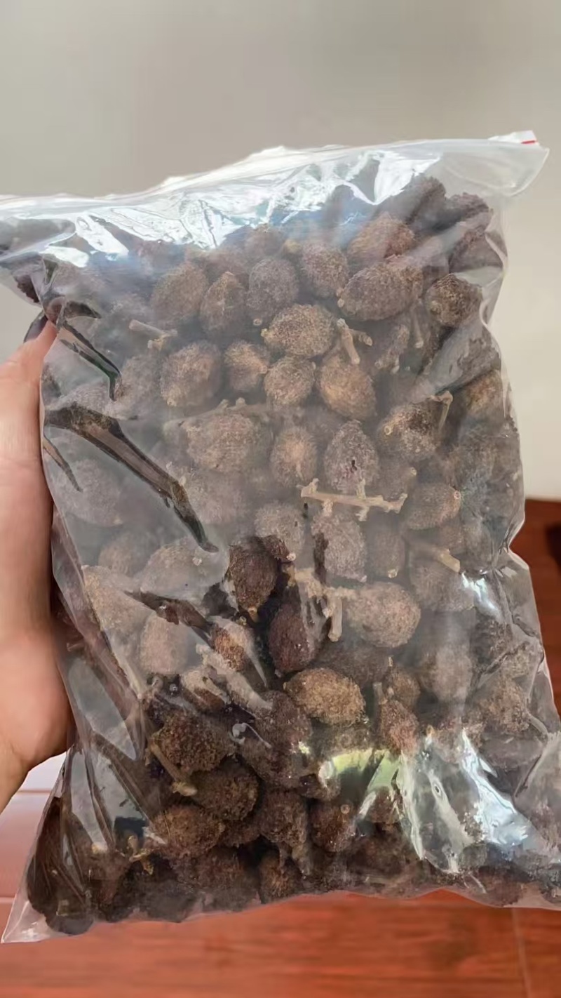 广东砂仁果干果大量供应，保质保量迎咨询一手货源