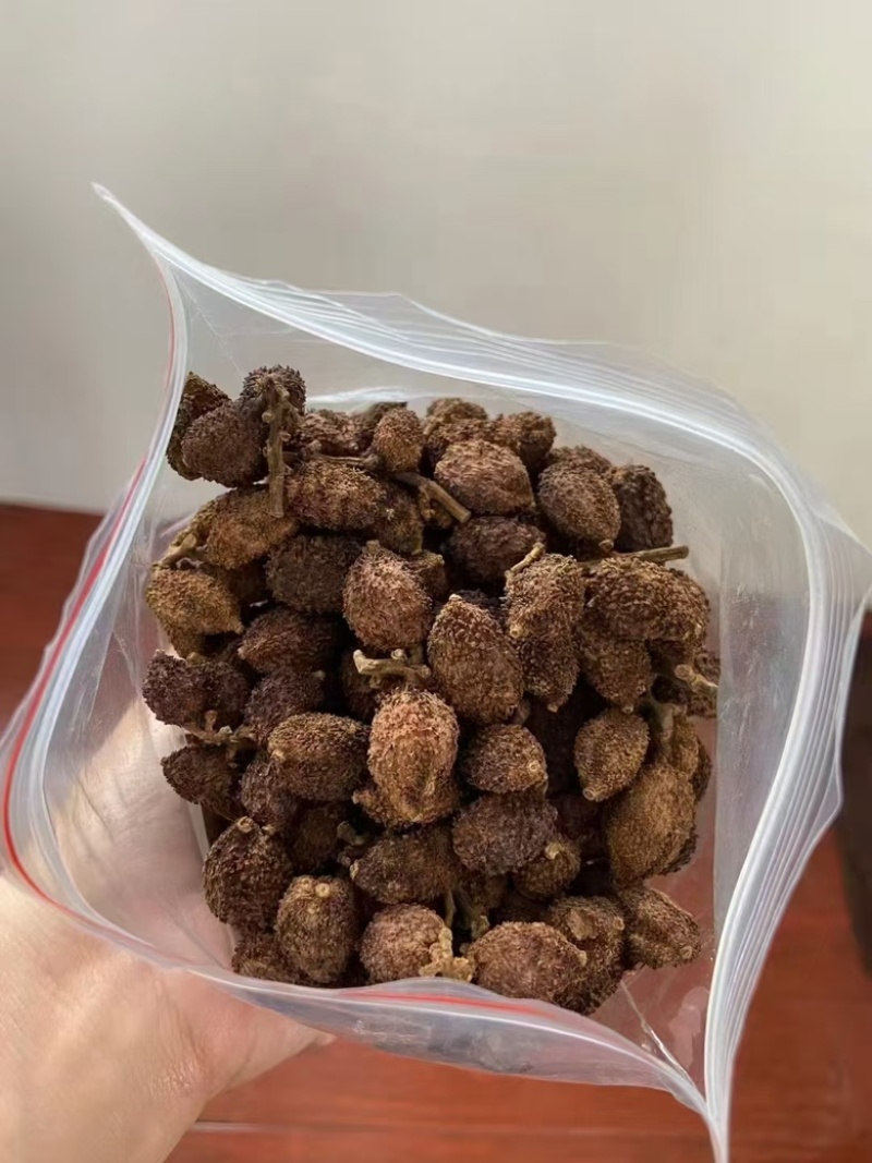 广东砂仁果干果大量供应，保质保量迎咨询一手货源