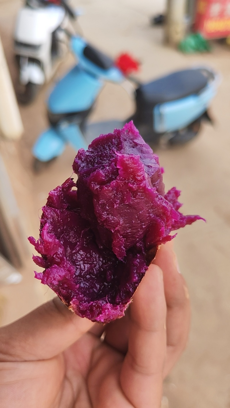 泰紫薯，紫美人糖化好的