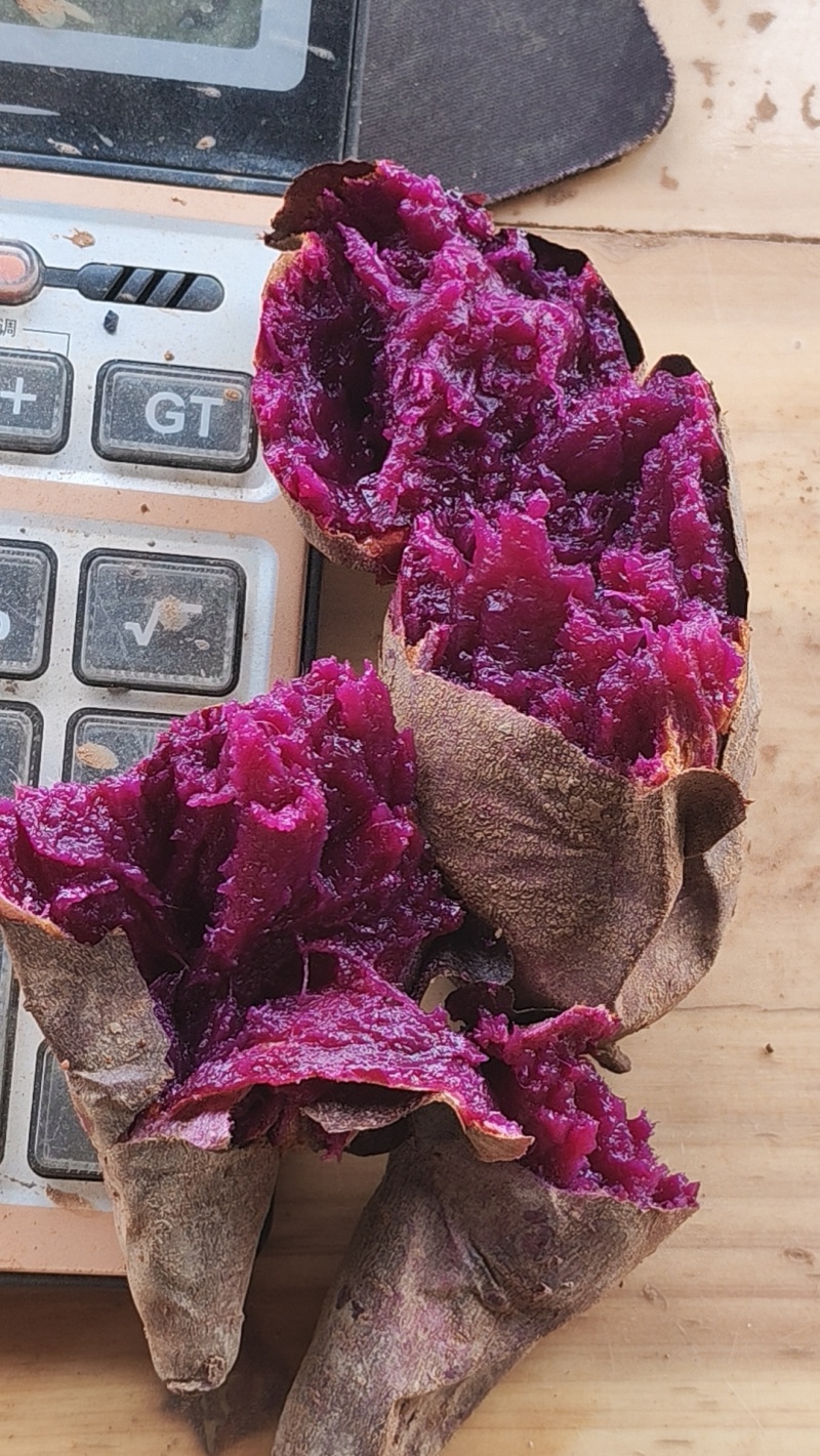 泰紫薯，紫美人糖化好的