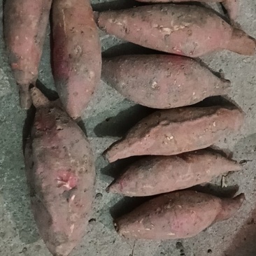 健康食品烟暑25