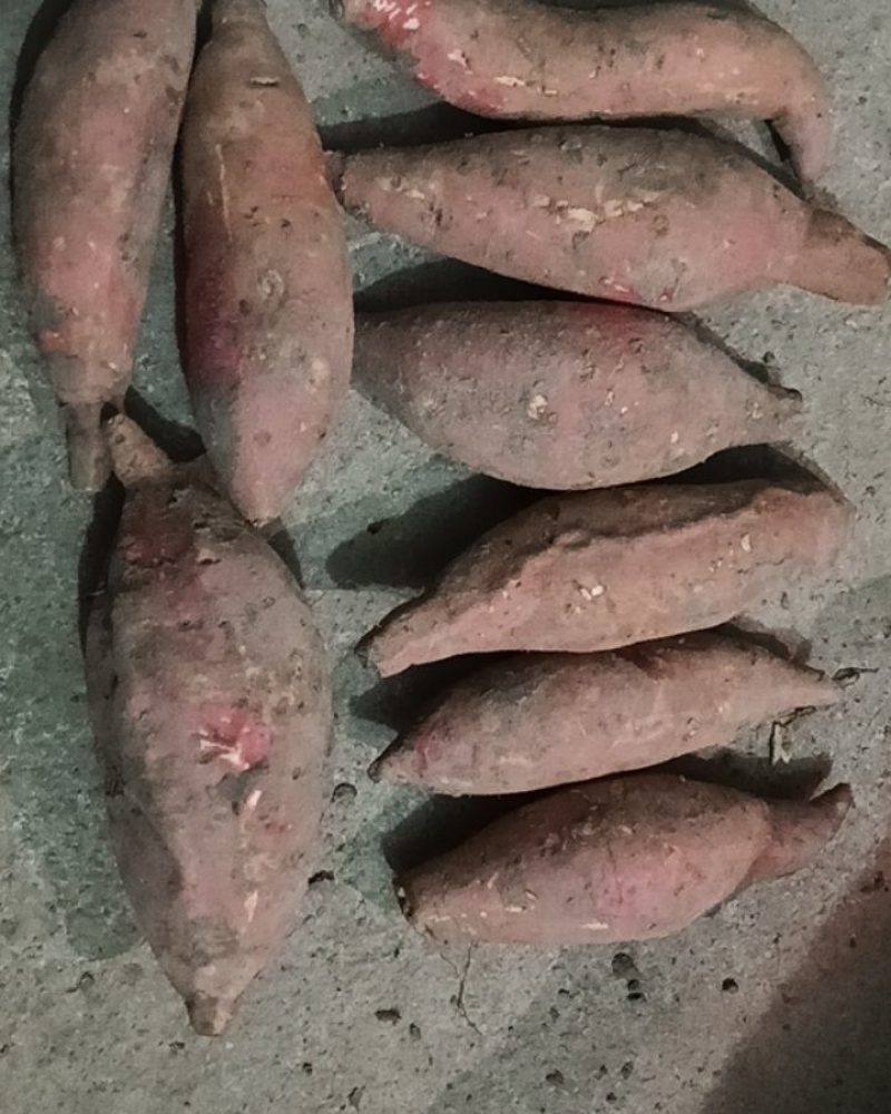 健康食品烟暑25