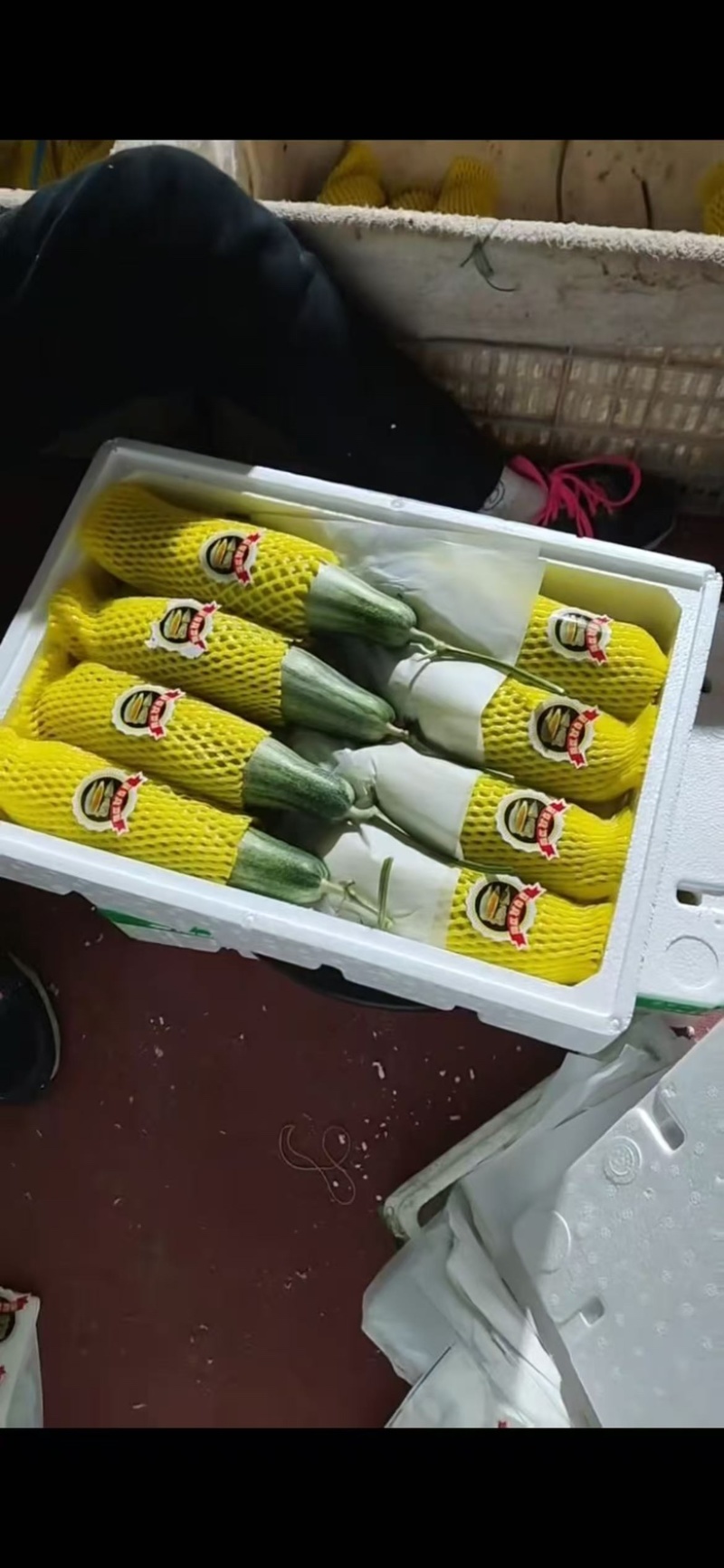 精品羊角蜜大量上市有需要的老板联系一手货源，欢迎咨询