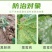 宝多生甲霜锰锌72%杀菌剂甲霜灵代森锰锌霜霉病黑胫病专用