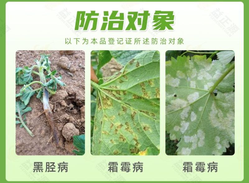 宝多生甲霜锰锌72%杀菌剂甲霜灵代森锰锌霜霉病黑胫病专用