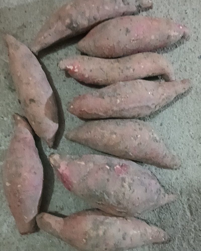 健康食品烟暑25