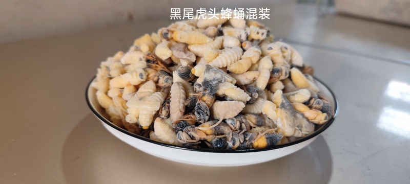 野生蜂蛹，一手货源，包邮到家，诚信经营，量大从优，欢迎选购