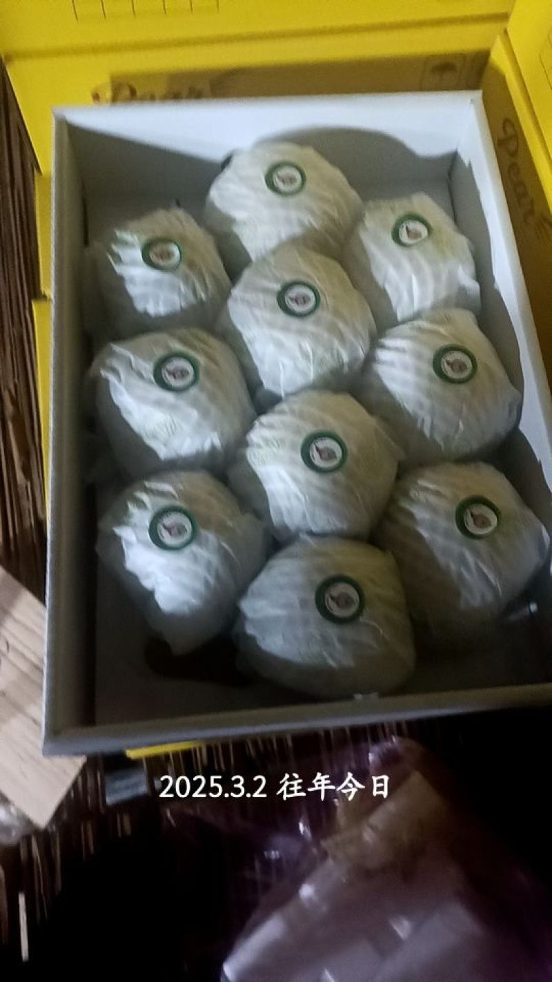 隰县玉露香梨