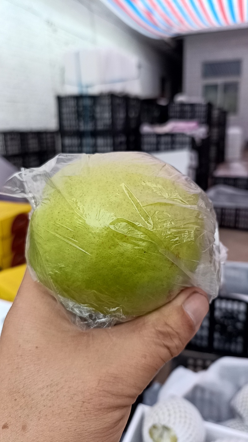 隰县玉露香梨
