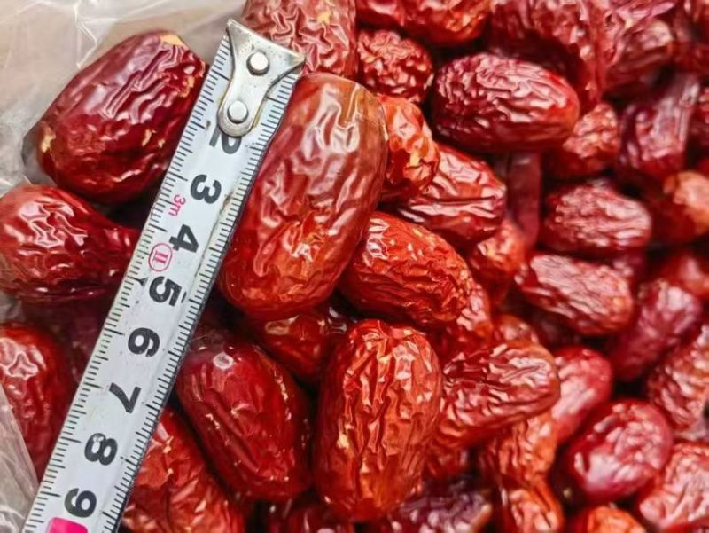新疆特产和田优质皮皮枣一箱20斤网兜模式跑量