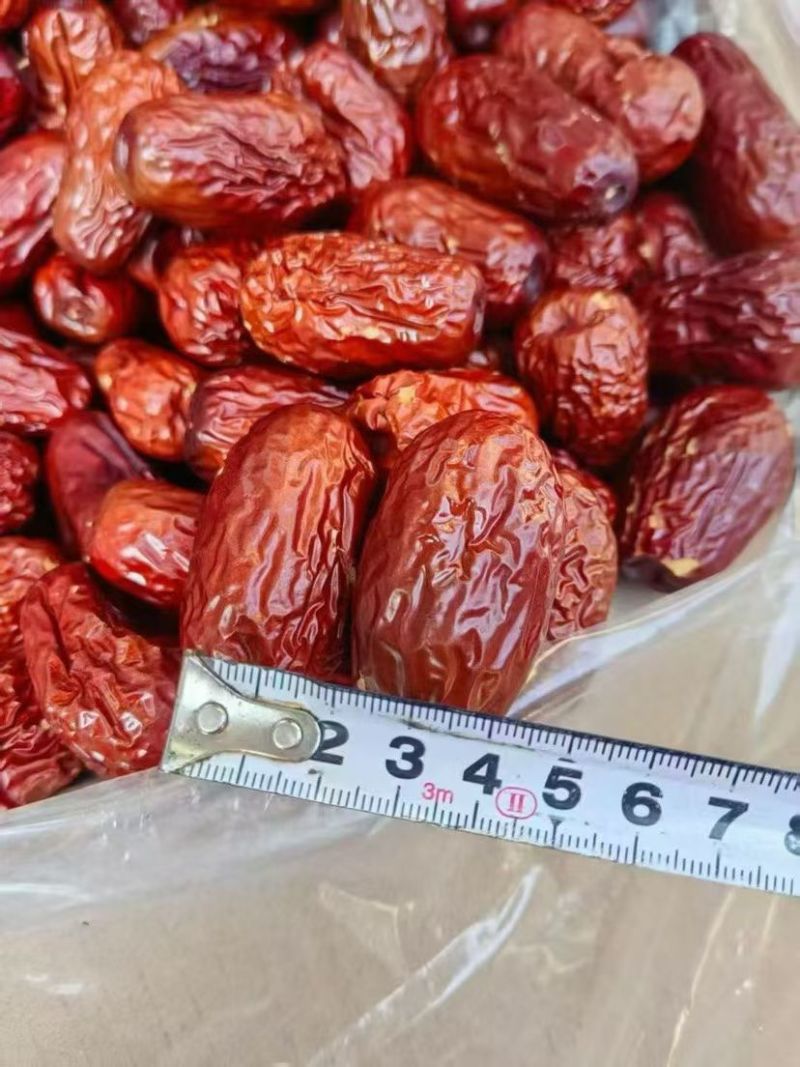 新疆特产和田优质皮皮枣一箱20斤网兜模式跑量