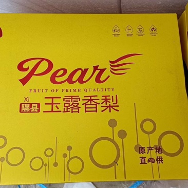 隰县玉露香梨