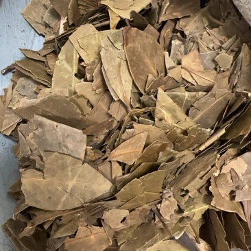 老鹰茶批发高温蒸熟高温煅炒源头直供一件代发批发