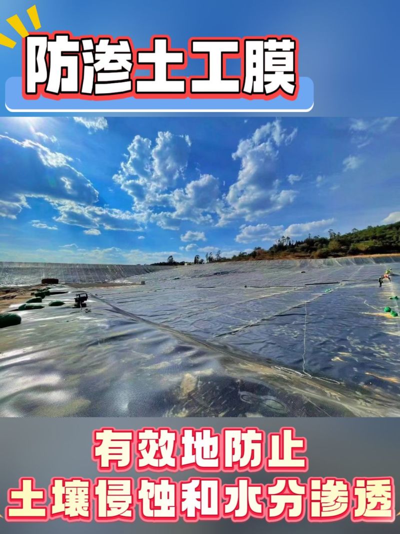 鱼塘防渗膜，厂家订制尺寸