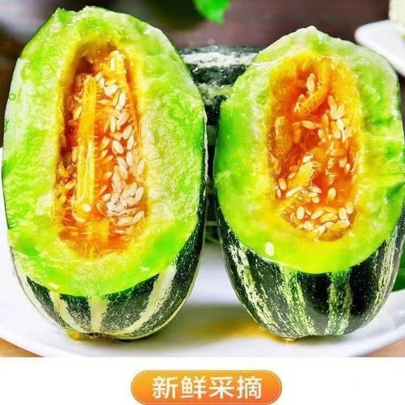 山东莘县甜瓜博洋9号甜瓜产地一手货源专业代办代发