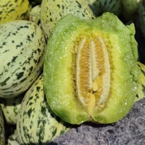 山东精品花蕾甜瓜花美人大量上市品质保证量大从优一手货源
