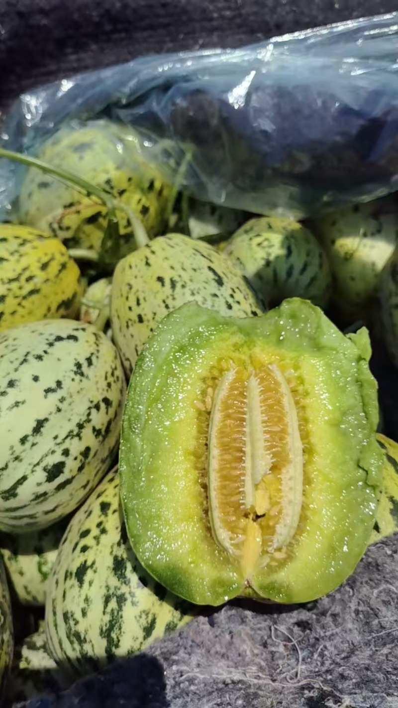 山东精品花蕾甜瓜花美人大量上市品质保证量大从优一手货源
