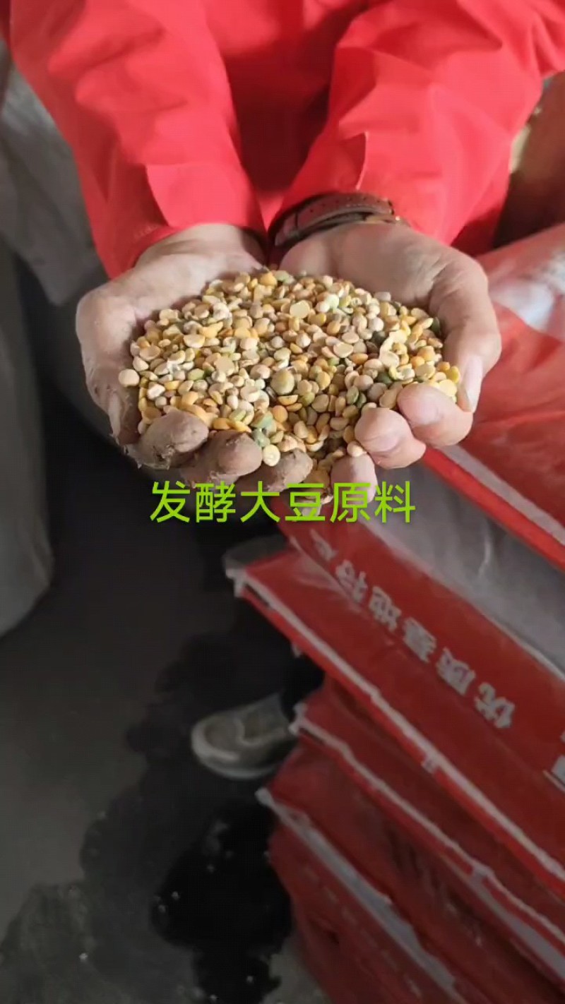 益生菌发酵大豆颗颗都是纯粮食。厂家直销