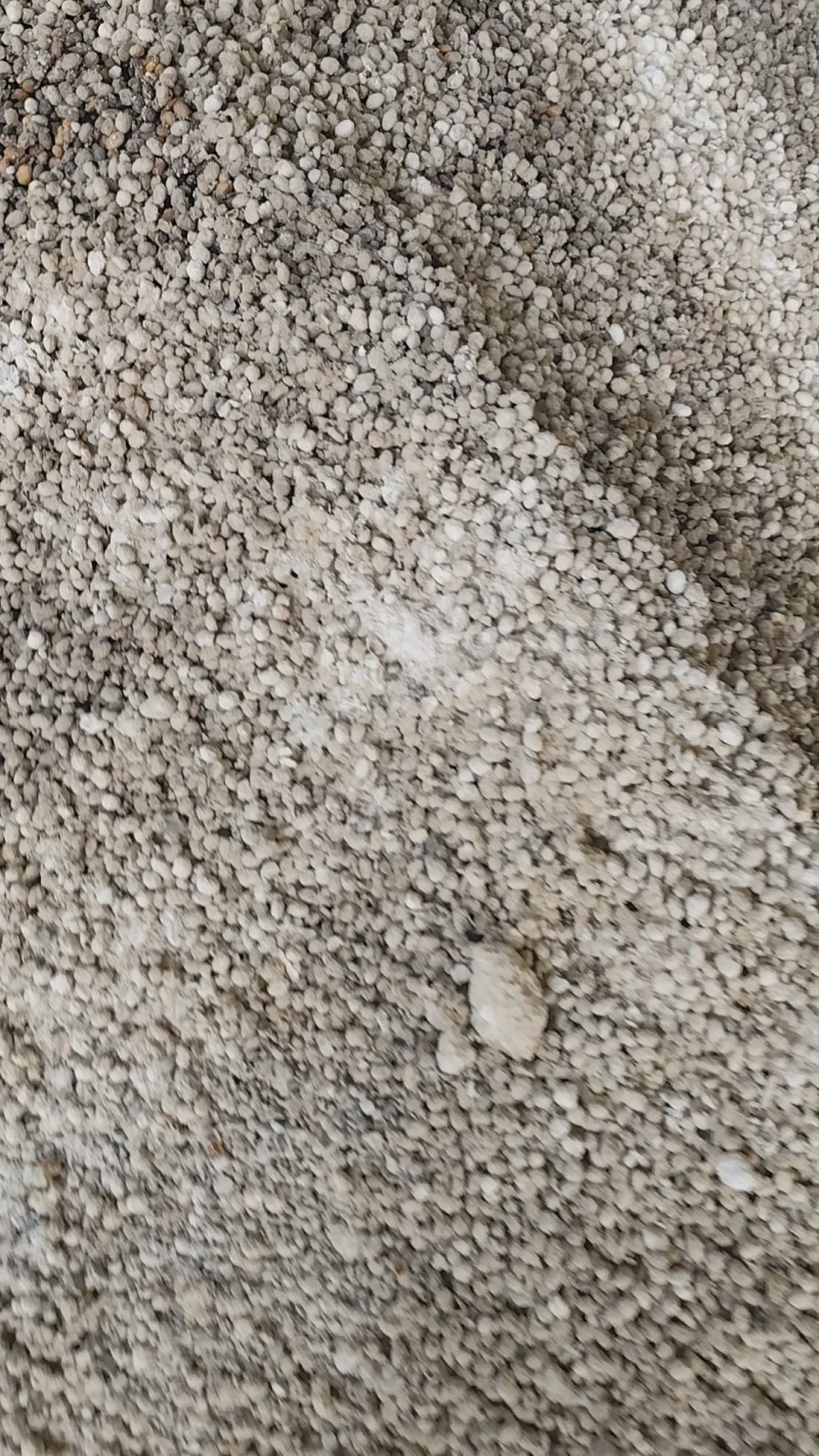 益生菌发酵大豆颗颗都是纯粮食。厂家直销