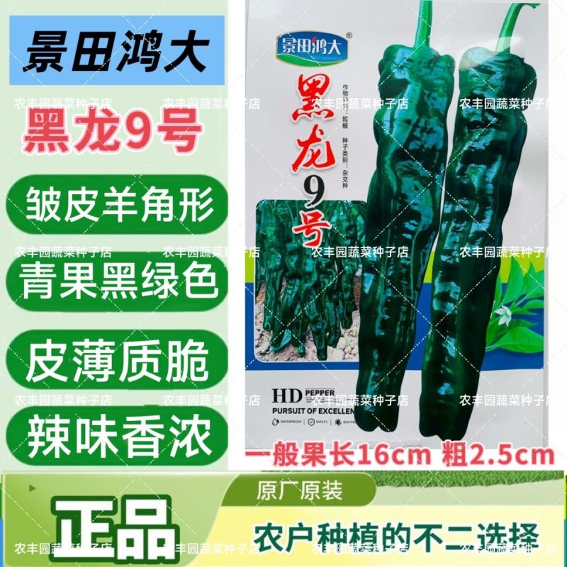 景田鸿大黑龙9号皱皮椒种子中早熟辣椒种籽皮薄辣味香浓青椒