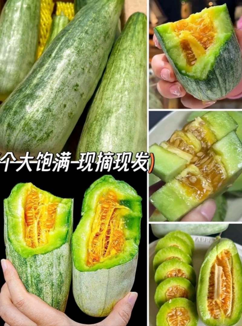 羊角蜜甜瓜/万亩博洋61种植区品质好/规格全欢迎采购