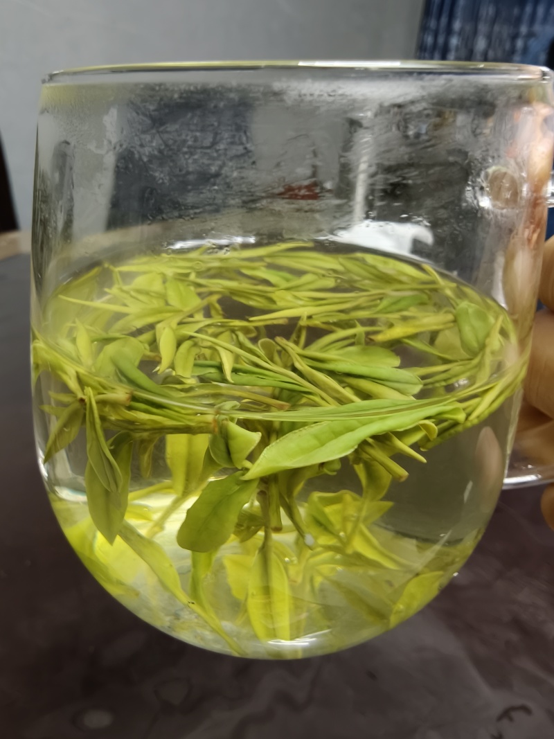 安吉白茶，批发可议价