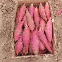 【西瓜红】精品西瓜红蜜薯红心红薯对接全国客户支持挂车