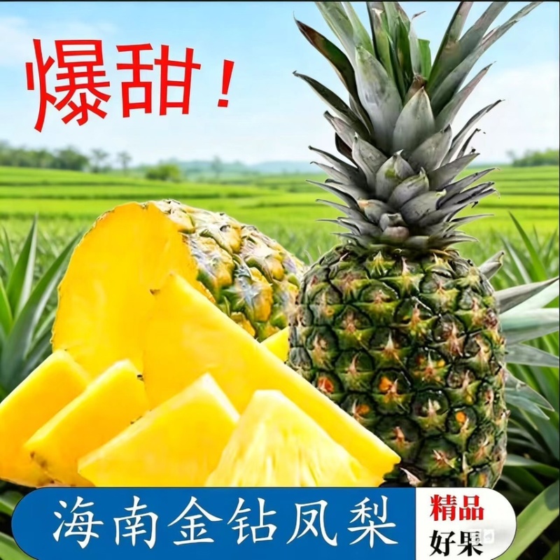 凤梨，各大电商代发。售后低，利润高，，包售后，日发3万。